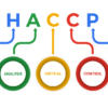 Sicurezza Alimentare: HACCP nelle Scuole